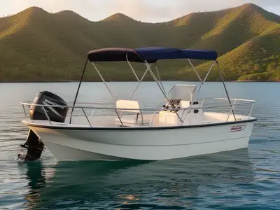 2005 Boston Whaler MONTAUK 170