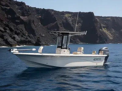 2021 Carolina Skiff 21 LS