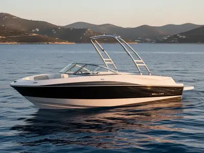 2013 Bayliner 195