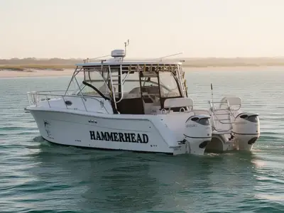 2019 WorldCat 325 DC