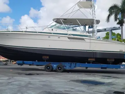 Bertram 46.6