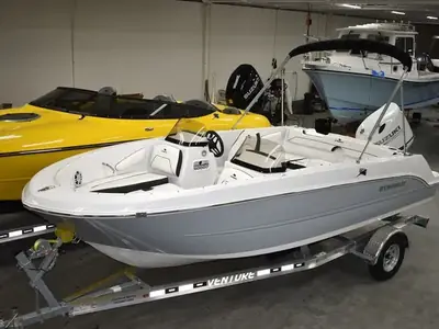 2025 Stingray 172DC