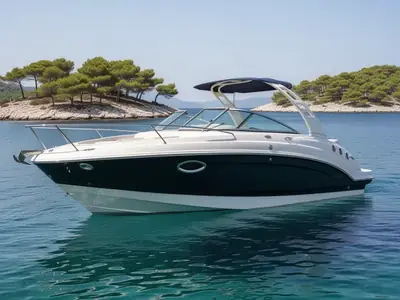 2016 Chaparral 225 SSI
