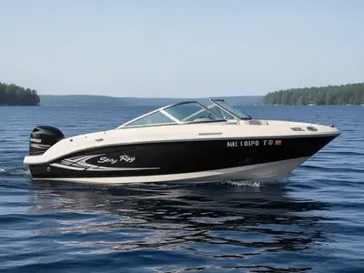 2009 Sea Ray 175 SPORT