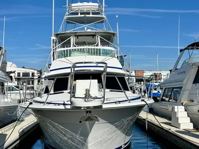 1982 Bertram 46.6