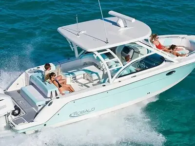 Robalo R317
