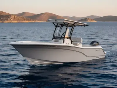 2020 Sea Fox 248 Commander