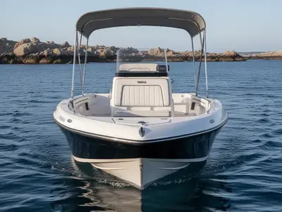 2016 Yamaha 190 FSH Deluxe