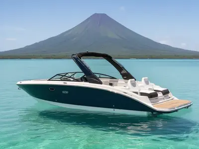 2025 Sea Ray SDX 290