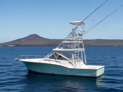 Carolina Classic 32