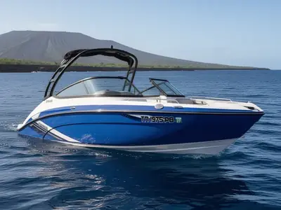 2019 Yamaha AR210