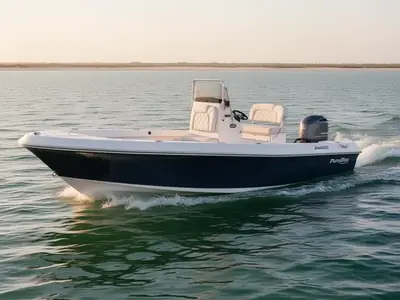 2023 Blue Wave 2200 Pure Bay