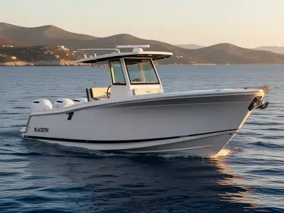 2026 Blackfin 252 CC