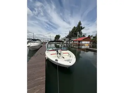 Regal LS2 SURF
