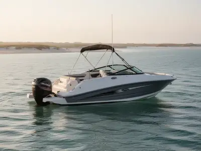Sea Ray SDX 220