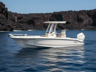 2023 Boston Whaler 250 Dauntless