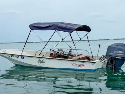 1983 Boston Whaler 15