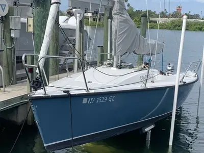Colgate 26