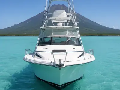 1997 Blackfin 33 COMBI
