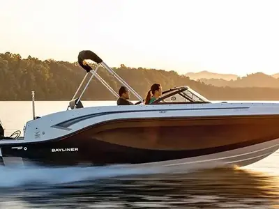 Bayliner DX2000