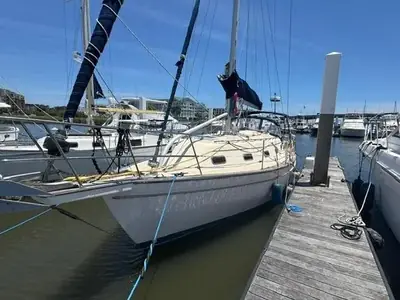 Island Packet Packet Cat 35