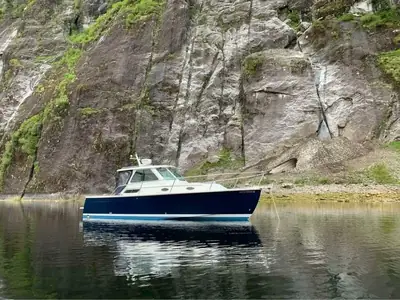 Back Cove 29