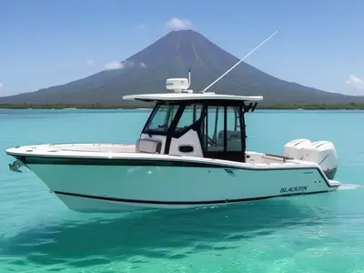 2020 Blackfin 272 CC