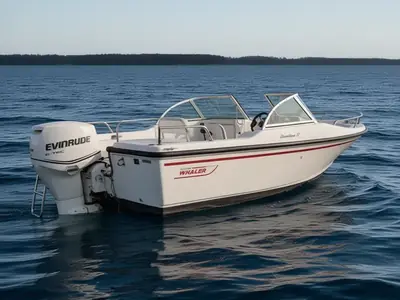1996 Boston Whaler 17