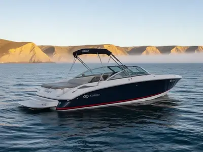 2010 Cobalt 232