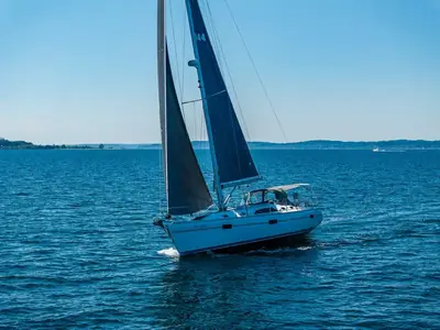 Catalina 445