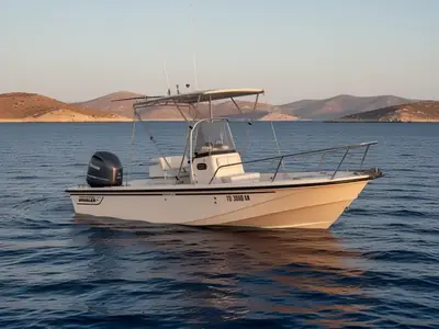 1992 Boston Whaler 19