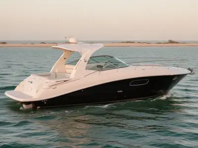 2011 Sea Ray 370 SUNDANCER