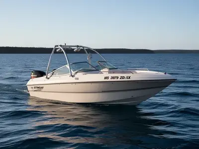 Stingray 190LS