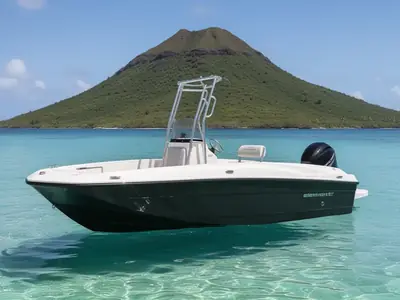2017 Bayliner Element F18