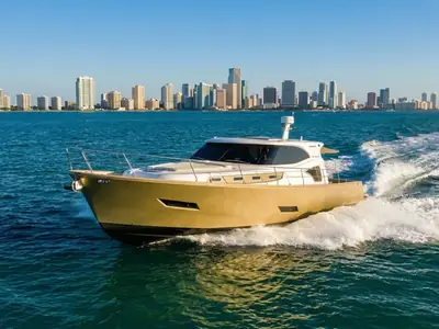 Monachus Issa 45