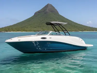 Sea Ray 260 Sundeck