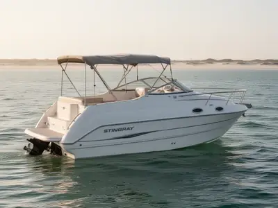 2005 Stingray 240 CS