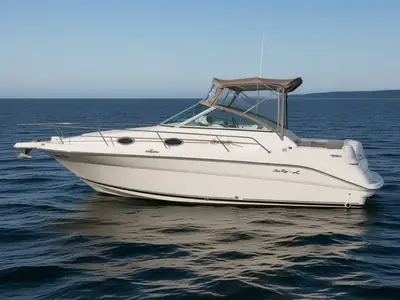 1999 Sea Ray Sundancer 270