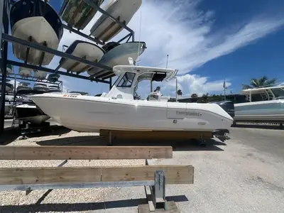 2019 Everglades 295 CC