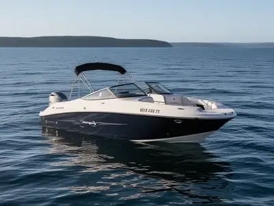 2020 Stingray 231 DC