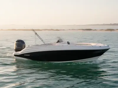 2019 Stingray 212 Sc