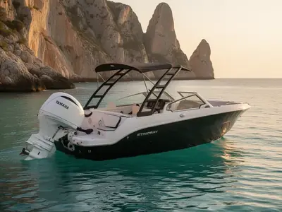 2026 Stingray 20 SBX