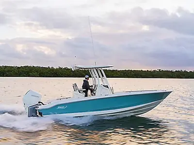 Boston Whaler 250 Dauntless
