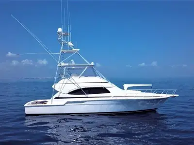 2000 Bertram 510 Convertible