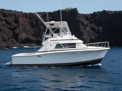 1991 Bertram 33 Sport Fisherman