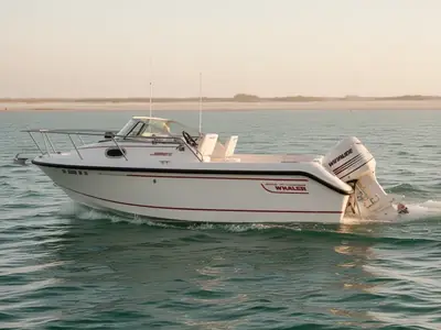 1998 Boston Whaler 21