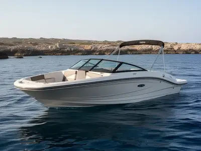 2017 Sea Ray SPX 190 Outboard