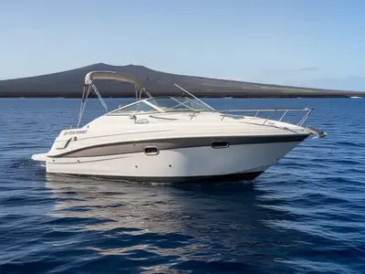 2003 Four Winns 248 VISTA
