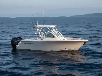 2026 Sailfish 245 DC