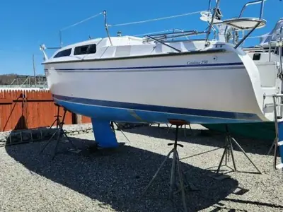 Catalina 250
